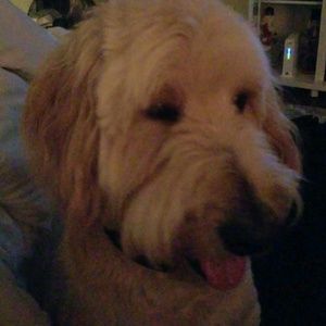 Meet your Posher, Jack